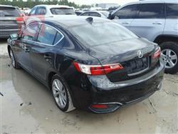 أكورا TLX